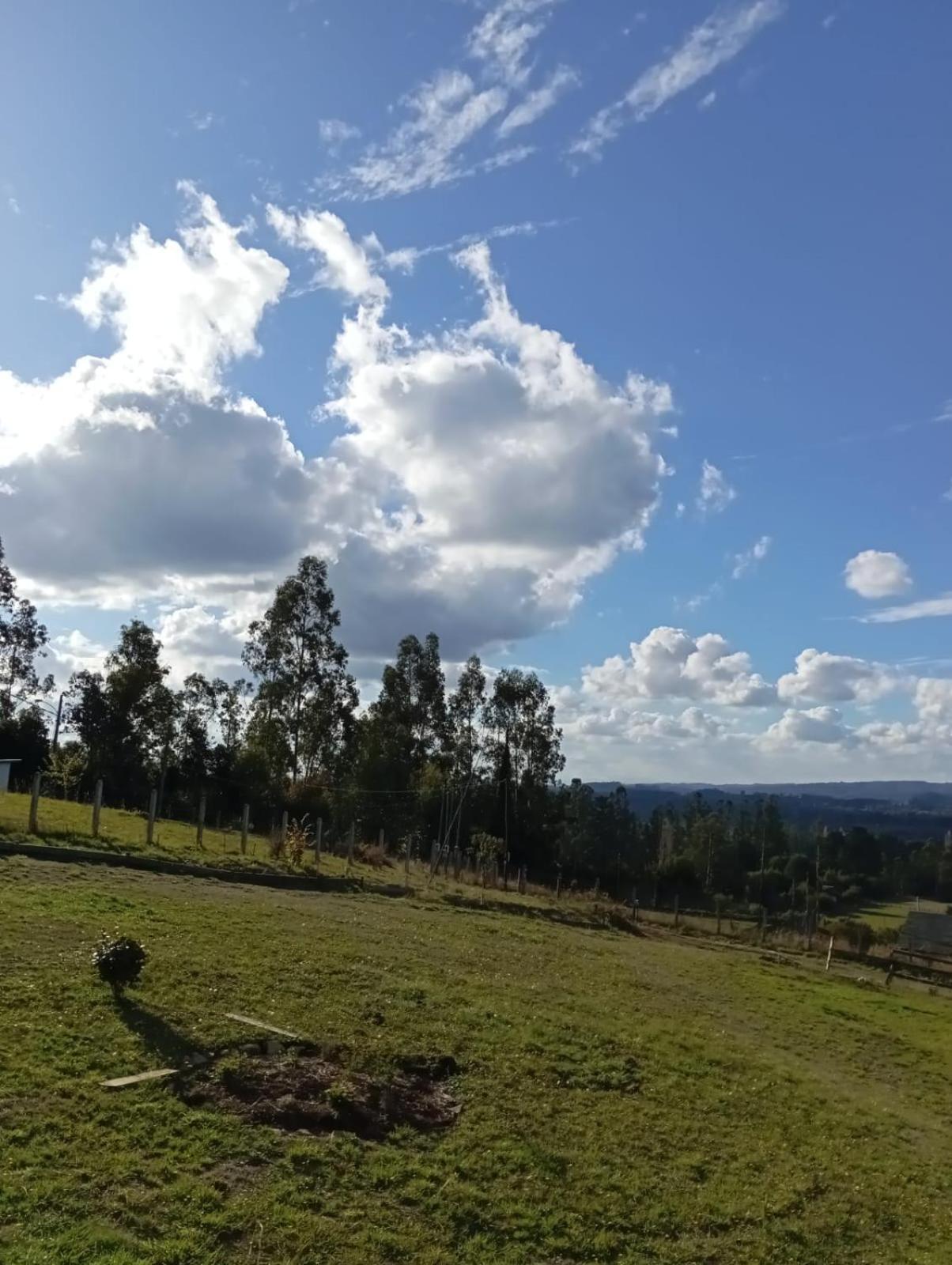 Donde Euli